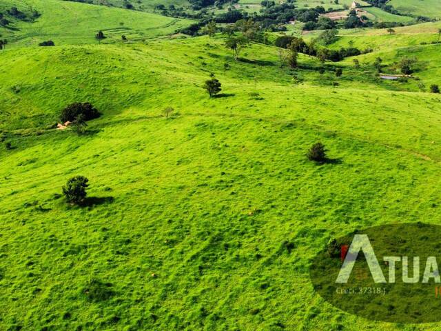 Fazenda para Venda em Itapira - 5