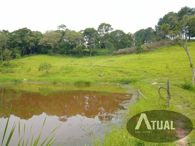 #ST1129 - Chácara para Venda em Atibaia - SP - 3