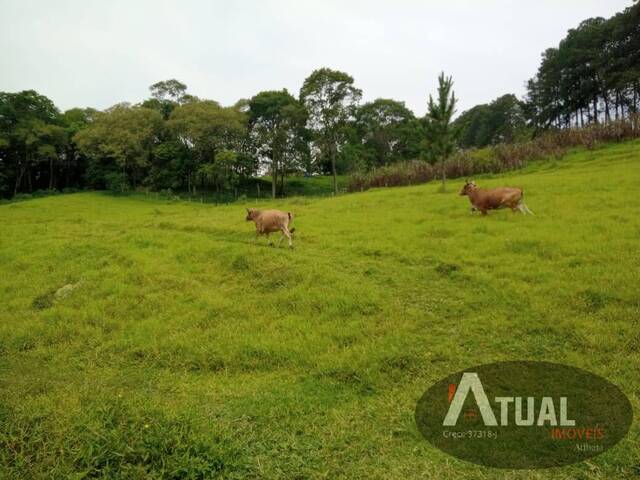 Chácara para Venda em Atibaia - 4