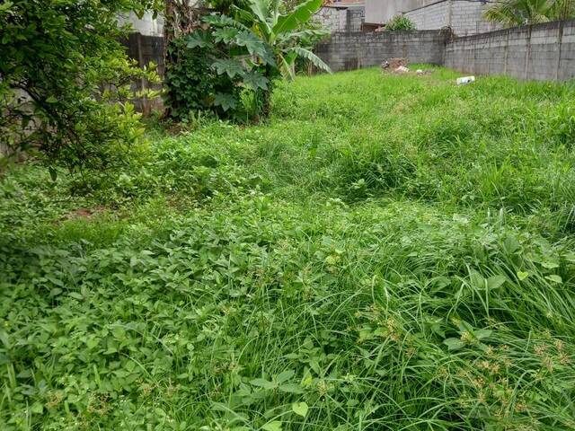 Terreno para Venda em Itaquaquecetuba - 5