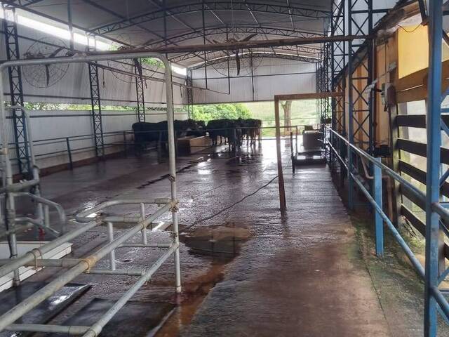 #FZ1230 - Fazenda para Venda em Pouso Alegre - MG - 3