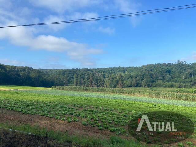 Terreno para Venda em Suzano - 5