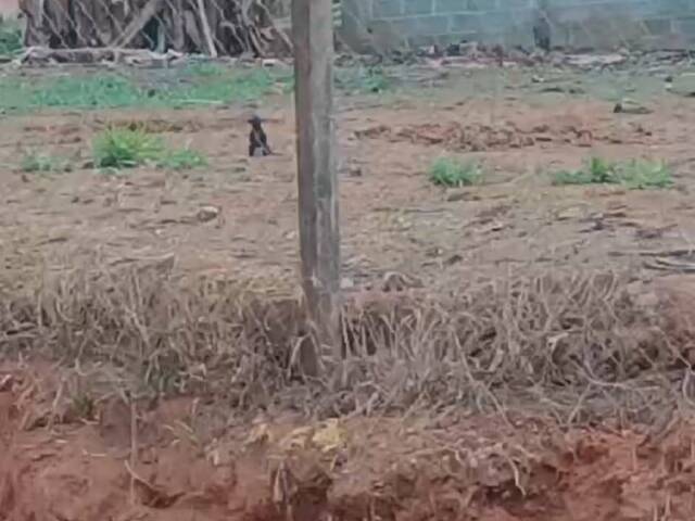 Terreno para Venda em Atibaia - 4