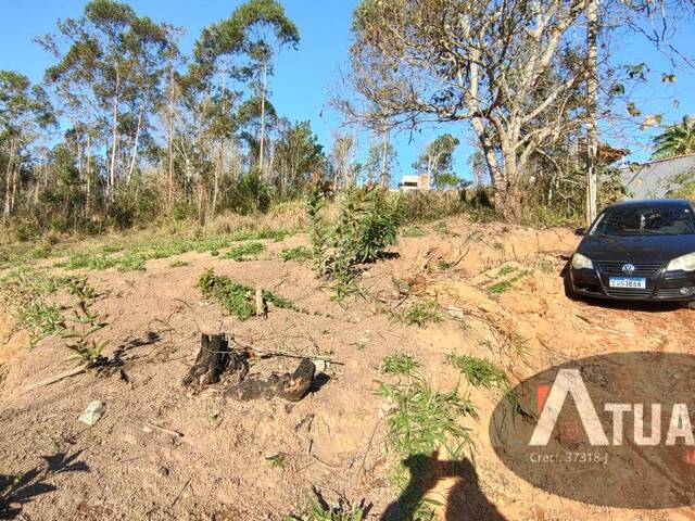 #TR1414 - Terreno para Venda em Mairiporã - SP - 3