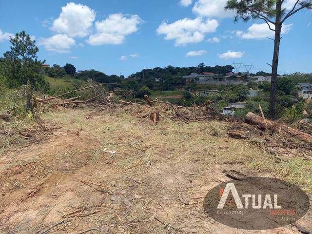 Venda em Vitória Régia - Atibaia