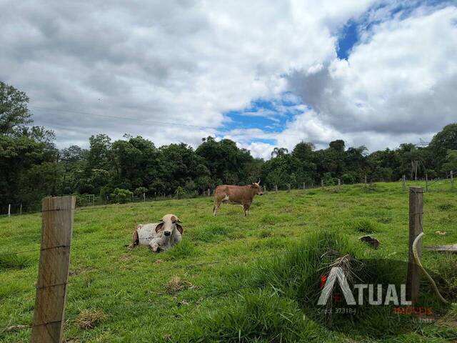 Chácara para Venda em Atibaia - 5