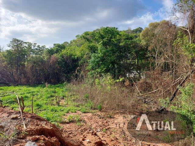 #1537 - Área para Venda em Atibaia - SP - 2